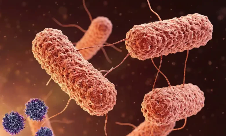 मानसून बीमारियों का खतरा